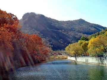 澳门今晚一肖必中特，隧道防水板